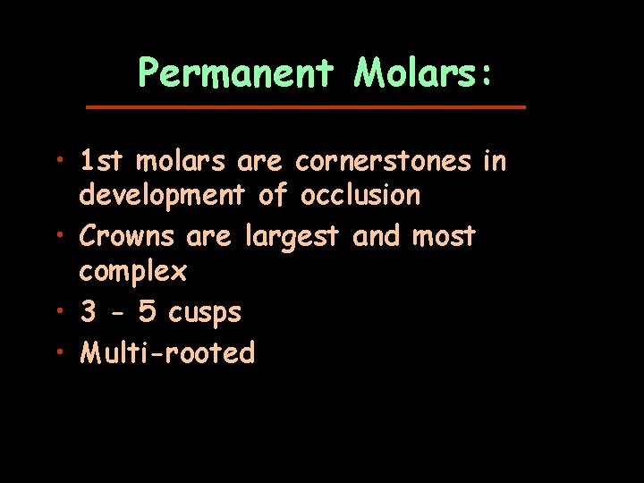 Permanent Molars: • 1 st molars are cornerstones in development of occlusion • Crowns