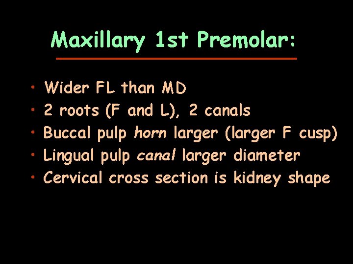 Maxillary 1 st Premolar: • • • Wider FL than MD 2 roots (F