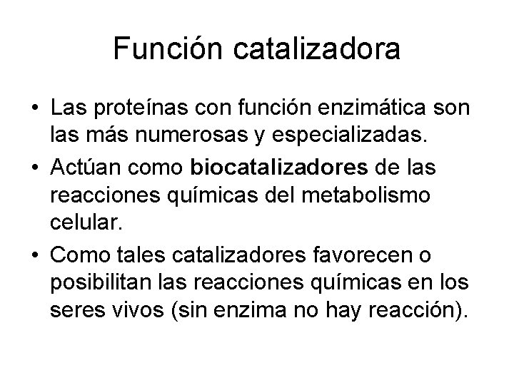 Función catalizadora • Las proteínas con función enzimática son las más numerosas y especializadas.