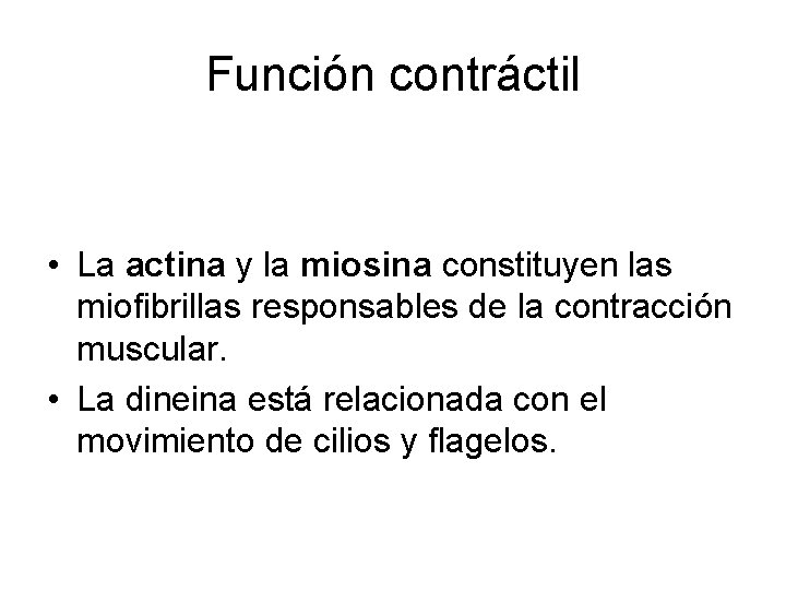 Función contráctil • La actina y la miosina constituyen las miofibrillas responsables de la