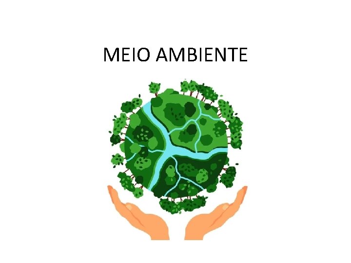 MEIO AMBIENTE 