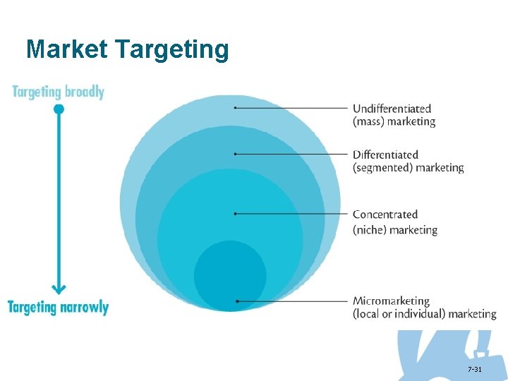 Market Targeting 7 -31 