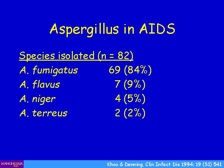 Aspergillus in AIDS Species isolated (n = 82) A. fumigatus 69 (84%) A. flavus