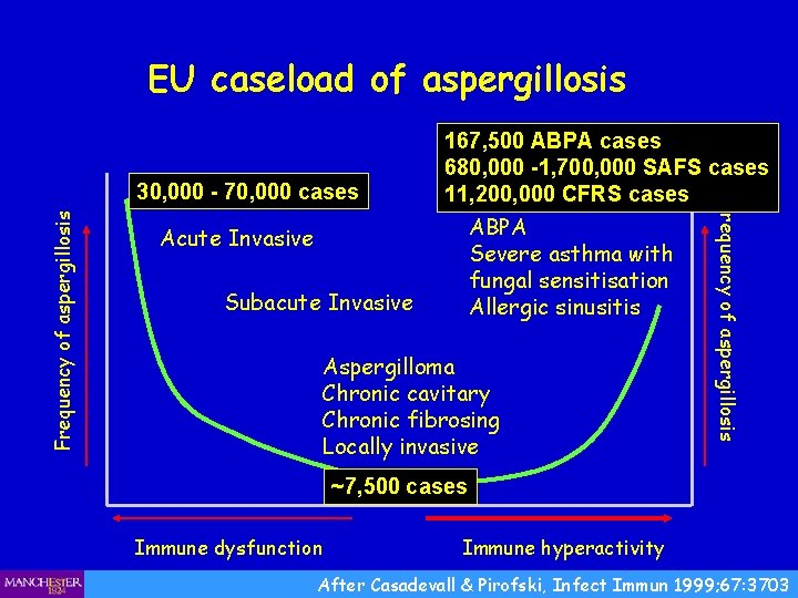 EU caseload of aspergillosis Frequency of aspergillosis Acute Invasive Subacute Invasive Aspergilloma Chronic cavitary