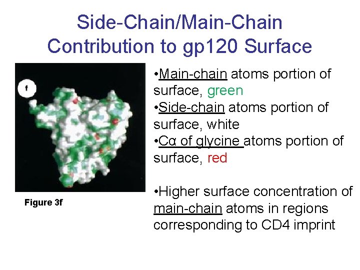 Side-Chain/Main-Chain Contribution to gp 120 Surface • Main-chain atoms portion of surface, green •