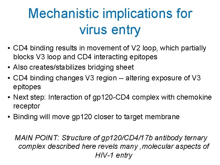 Mechanistic implications for virus entry • CD 4 binding results in movement of V