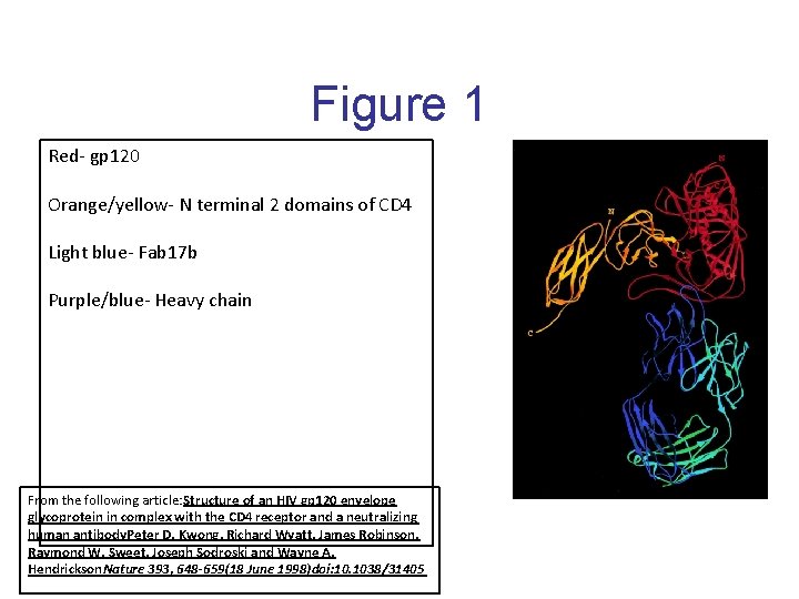 Figure 1 Red- gp 120 Orange/yellow- N terminal 2 domains of CD 4 Light