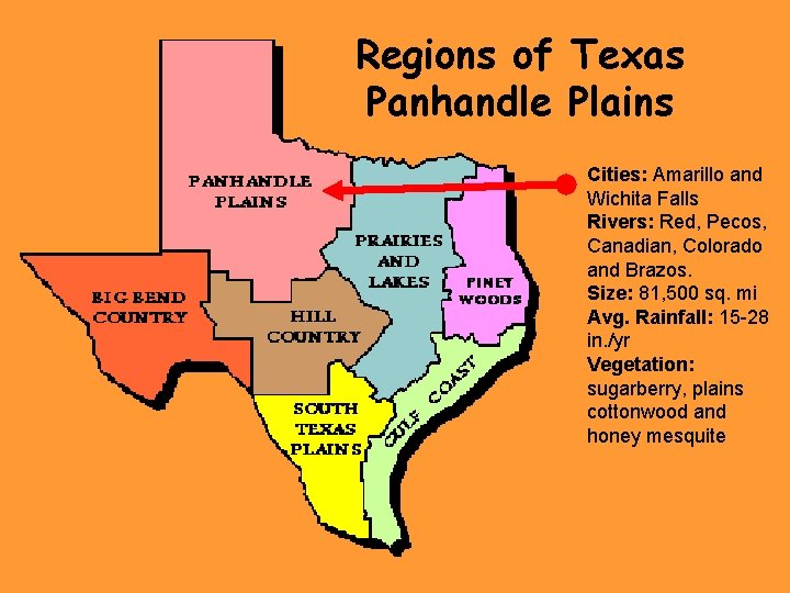 Regions of Texas Panhandle Plains Cities: Amarillo and Wichita Falls Rivers: Red, Pecos, Canadian,