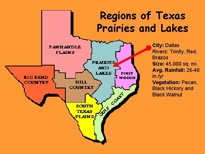 Regions of Texas Prairies and Lakes City: Dallas Rivers: Trinity, Red, Brazos Size: 45,