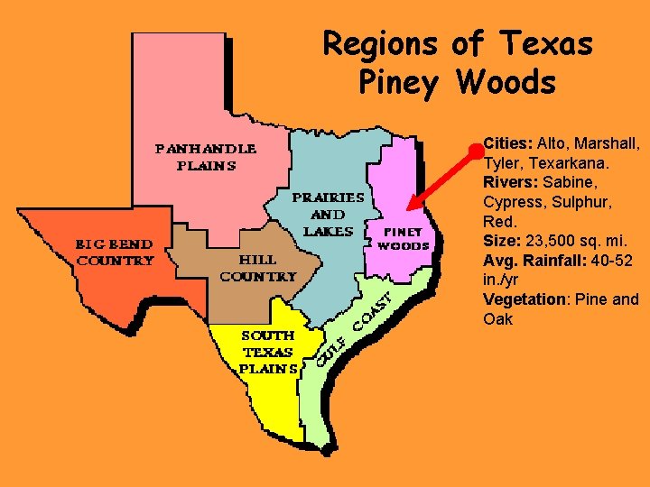 Regions of Texas Piney Woods Cities: Alto, Marshall, Tyler, Texarkana. Rivers: Sabine, Cypress, Sulphur,