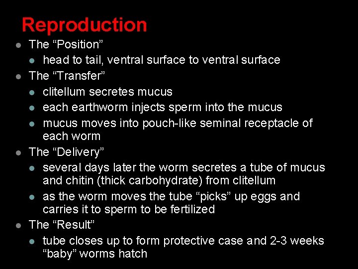 Reproduction l l The “Position” l head to tail, ventral surface to ventral surface Reproduction l l The “Position” l head to tail, ventral surface to ventral surface