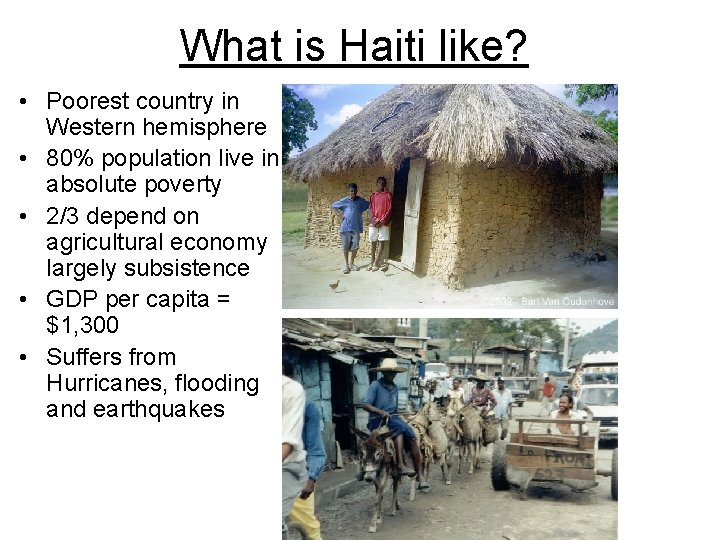 What is Haiti like? • Poorest country in Western hemisphere • 80% population live