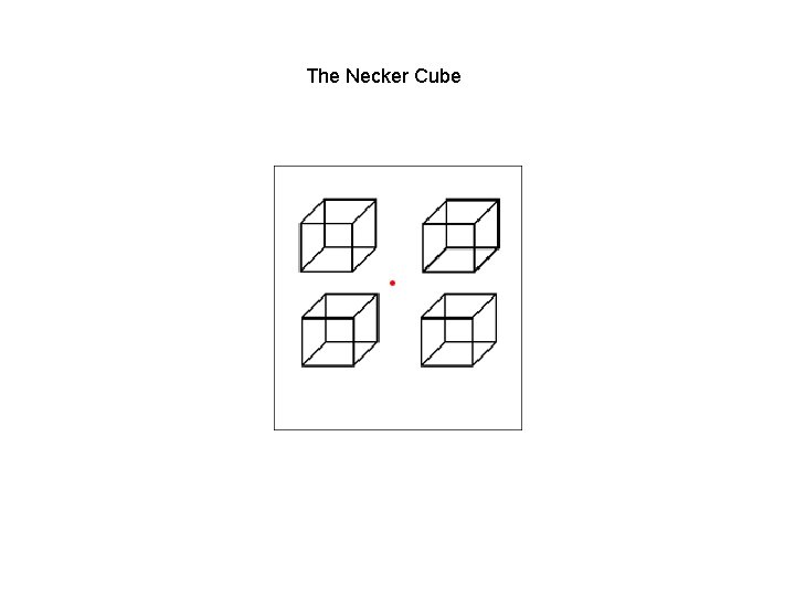 The Necker Cube 
