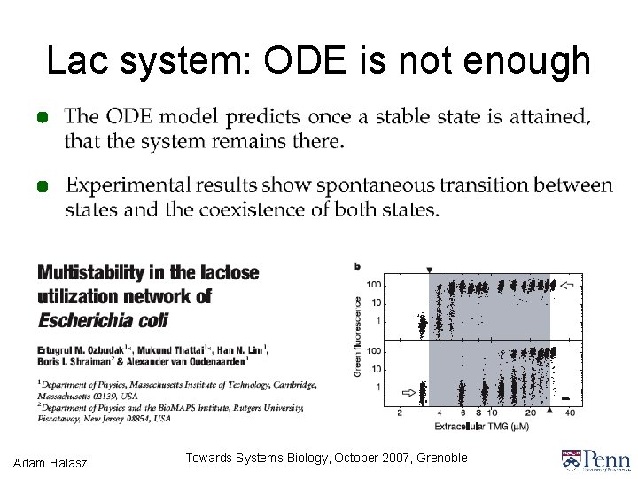 Lac system: ODE is not enough Adam Halasz Towards Systems Biology, October 2007, Grenoble