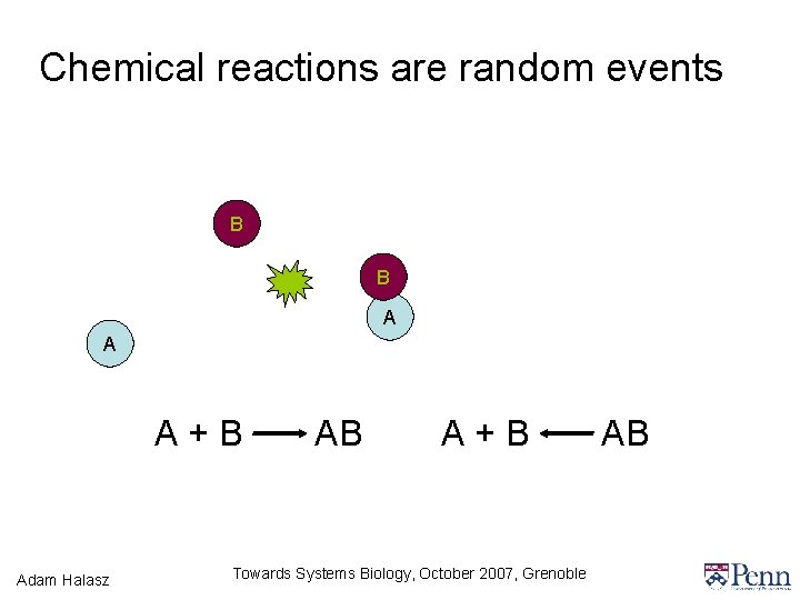 Chemical reactions are random events B B A A A+B Adam Halasz AB A+B