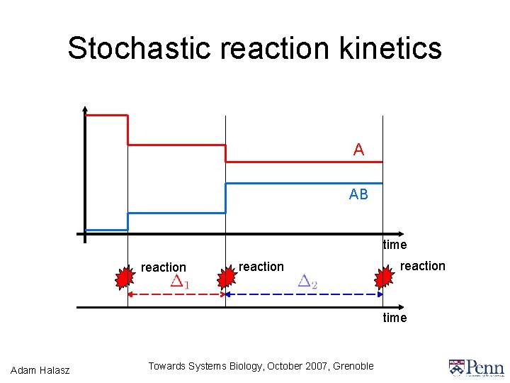 Stochastic reaction kinetics A AB time reaction time Adam Halasz Towards Systems Biology, October