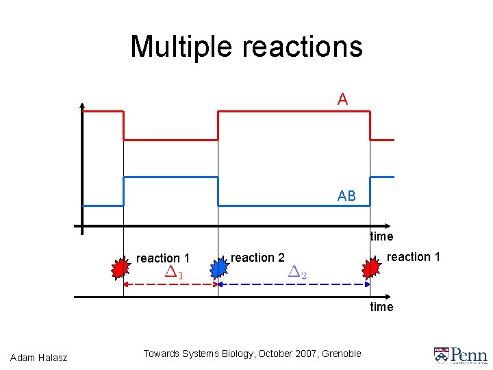 Multiple reactions A AB time reaction 1 reaction 2 reaction 1 time Adam Halasz