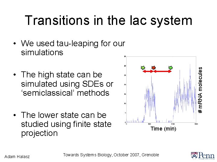 Transitions in the lac system # m. RNA molecules • We used tau-leaping for