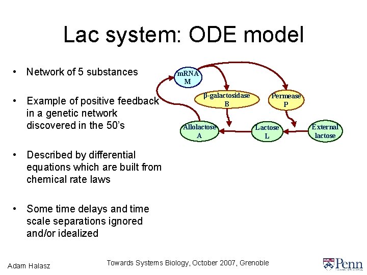 Lac system: ODE model • Network of 5 substances • Example of positive feedback