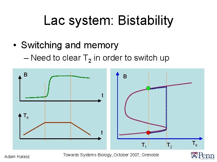 Lac system: Bistability • Switching and memory – Need to clear T 2 in