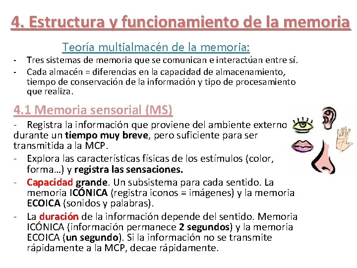 4. Estructura y funcionamiento de la memoria - Teoría multialmacén de la memoria: Tres