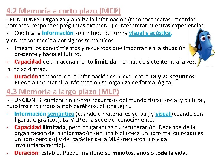 4. 2 Memoria a corto plazo (MCP) - FUNCIONES: Organiza y analiza la información