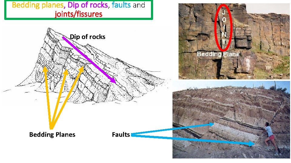 Bedding planes, Dip of rocks, faults and joints/fissures Dip of rocks Bedding Planes Faults Bedding planes, Dip of rocks, faults and joints/fissures Dip of rocks Bedding Planes Faults