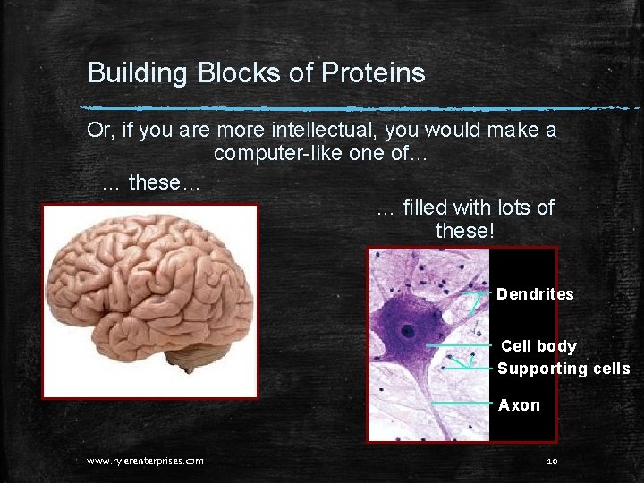 Building Blocks of Proteins Or, if you are more intellectual, you would make a Building Blocks of Proteins Or, if you are more intellectual, you would make a