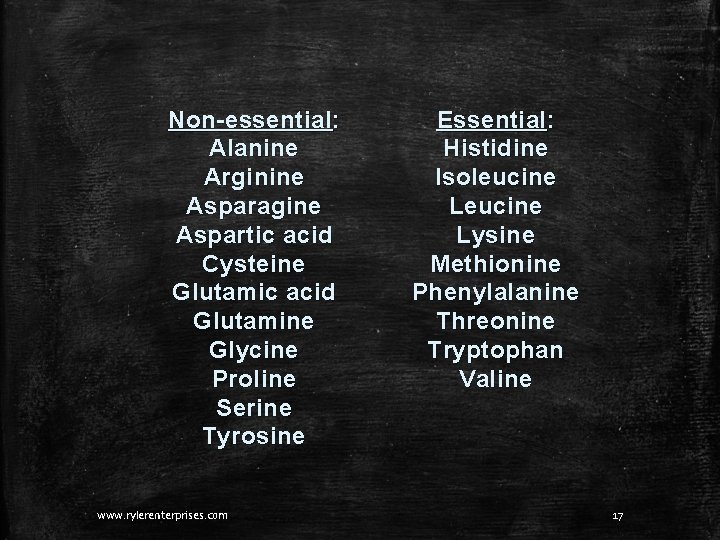 Non-essential: Alanine Arginine Asparagine Aspartic acid Cysteine Glutamic acid Glutamine Glycine Proline Serine Tyrosine Non-essential: Alanine Arginine Asparagine Aspartic acid Cysteine Glutamic acid Glutamine Glycine Proline Serine Tyrosine