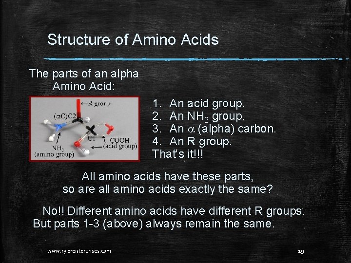 Structure of Amino Acids The parts of an alpha Amino Acid: 1. An acid Structure of Amino Acids The parts of an alpha Amino Acid: 1. An acid