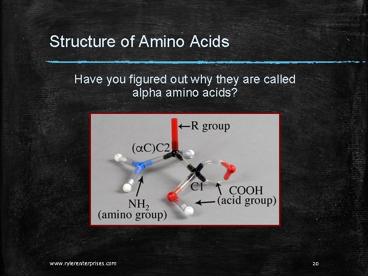 Structure of Amino Acids Have you figured out why they are called alpha amino Structure of Amino Acids Have you figured out why they are called alpha amino