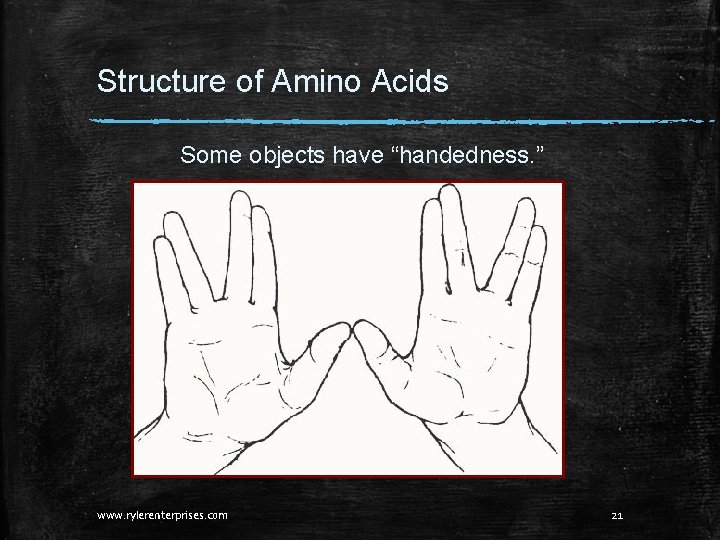 Structure of Amino Acids Some objects have “handedness. ” www. rylerenterprises. com 21 Structure of Amino Acids Some objects have “handedness. ” www. rylerenterprises. com 21