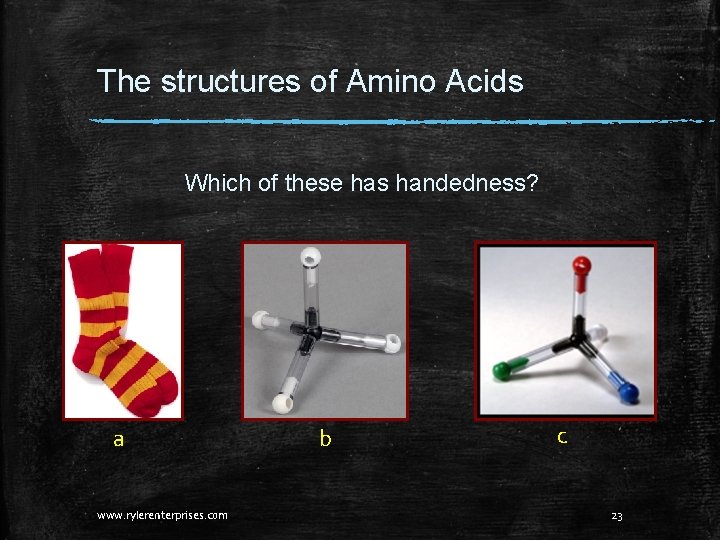 The structures of Amino Acids Which of these has handedness? a www. rylerenterprises. com The structures of Amino Acids Which of these has handedness? a www. rylerenterprises. com