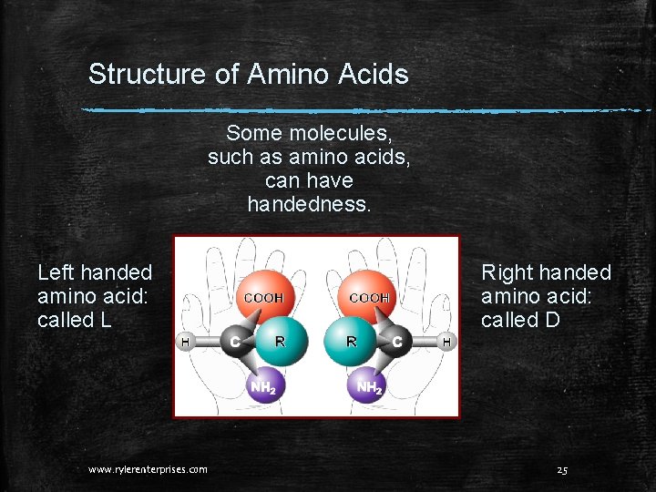 Structure of Amino Acids Some molecules, such as amino acids, can have handedness. Left Structure of Amino Acids Some molecules, such as amino acids, can have handedness. Left