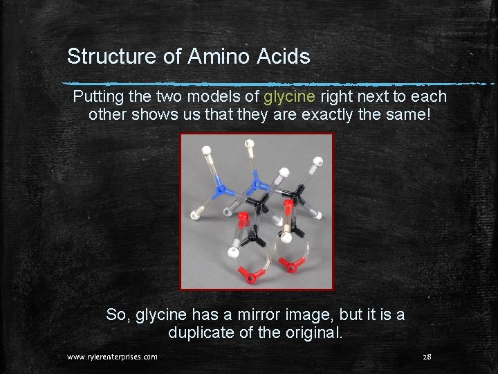 Structure of Amino Acids Putting the two models of glycine right next to each Structure of Amino Acids Putting the two models of glycine right next to each