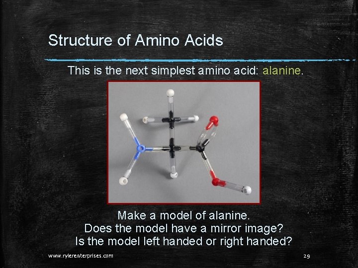 Structure of Amino Acids This is the next simplest amino acid: alanine. Make a Structure of Amino Acids This is the next simplest amino acid: alanine. Make a