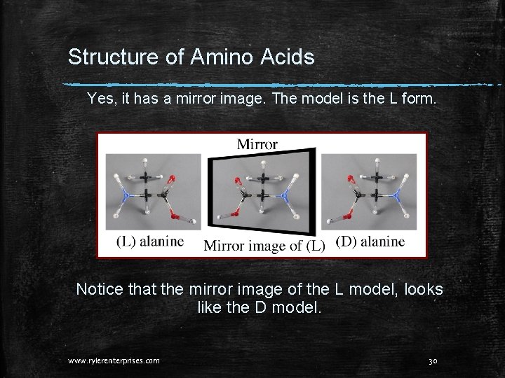 Structure of Amino Acids Yes, it has a mirror image. The model is the Structure of Amino Acids Yes, it has a mirror image. The model is the