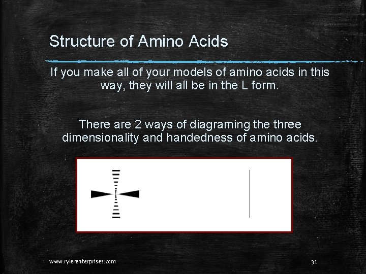 Structure of Amino Acids If you make all of your models of amino acids Structure of Amino Acids If you make all of your models of amino acids