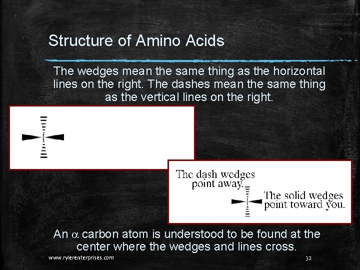 Structure of Amino Acids The wedges mean the same thing as the horizontal lines Structure of Amino Acids The wedges mean the same thing as the horizontal lines