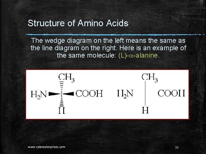 Structure of Amino Acids The wedge diagram on the left means the same as Structure of Amino Acids The wedge diagram on the left means the same as