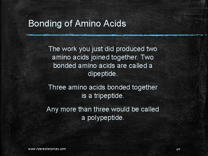 Bonding of Amino Acids The work you just did produced two amino acids joined Bonding of Amino Acids The work you just did produced two amino acids joined