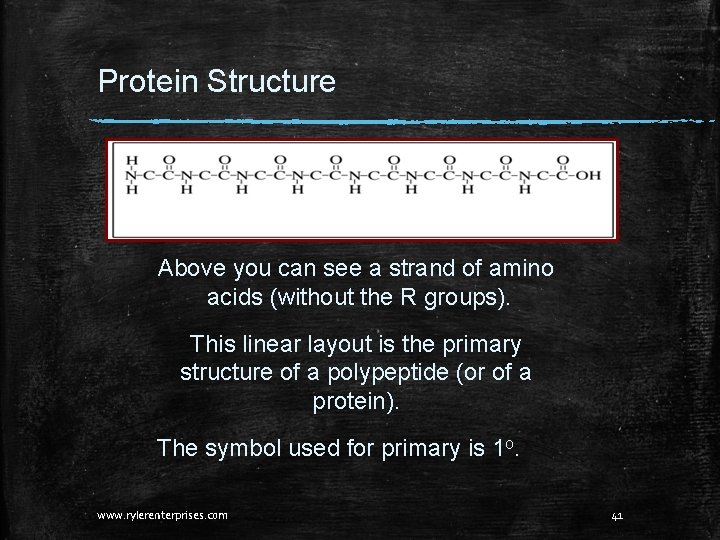 Protein Structure Above you can see a strand of amino acids (without the R Protein Structure Above you can see a strand of amino acids (without the R