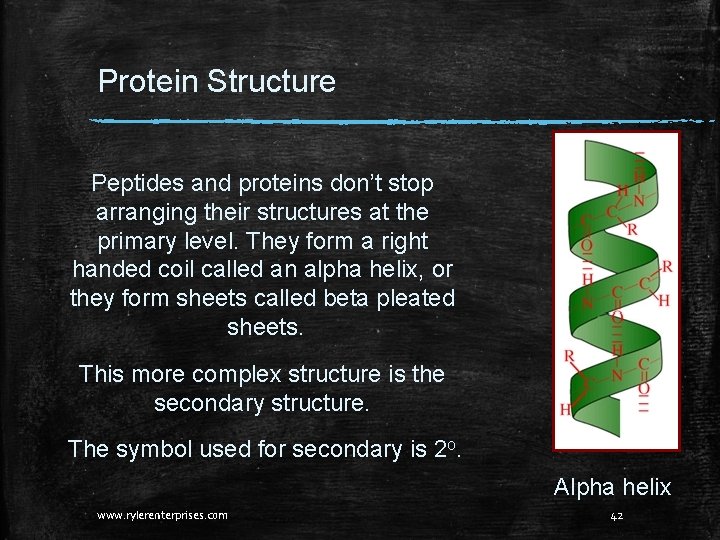 Protein Structure Peptides and proteins don’t stop arranging their structures at the primary level. Protein Structure Peptides and proteins don’t stop arranging their structures at the primary level.