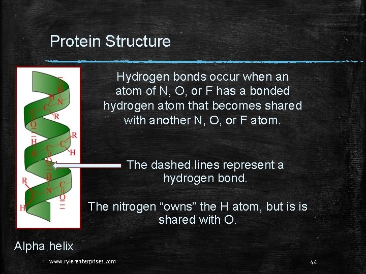 Protein Structure Hydrogen bonds occur when an atom of N, O, or F has Protein Structure Hydrogen bonds occur when an atom of N, O, or F has