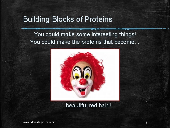 Building Blocks of Proteins You could make some interesting things! You could make the Building Blocks of Proteins You could make some interesting things! You could make the