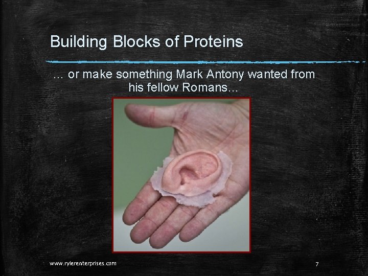 Building Blocks of Proteins … or make something Mark Antony wanted from his fellow Building Blocks of Proteins … or make something Mark Antony wanted from his fellow