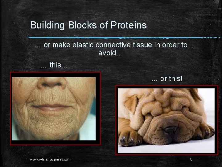 Building Blocks of Proteins … or make elastic connective tissue in order to avoid… Building Blocks of Proteins … or make elastic connective tissue in order to avoid…