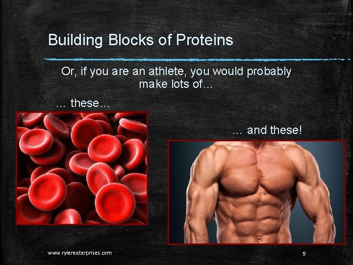 Building Blocks of Proteins Or, if you are an athlete, you would probably make Building Blocks of Proteins Or, if you are an athlete, you would probably make
