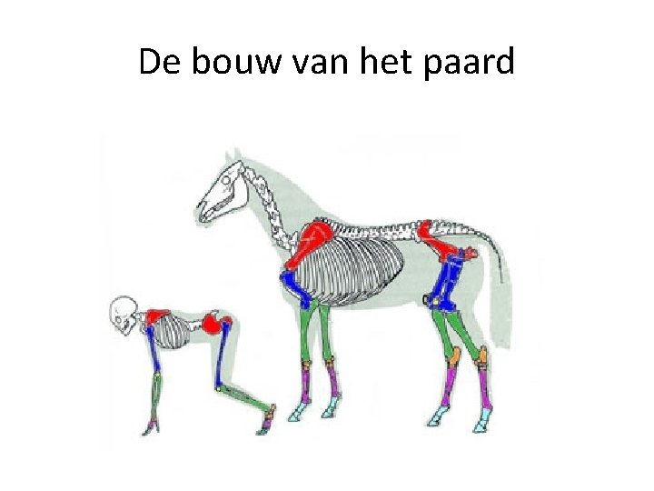 De bouw van het paard 