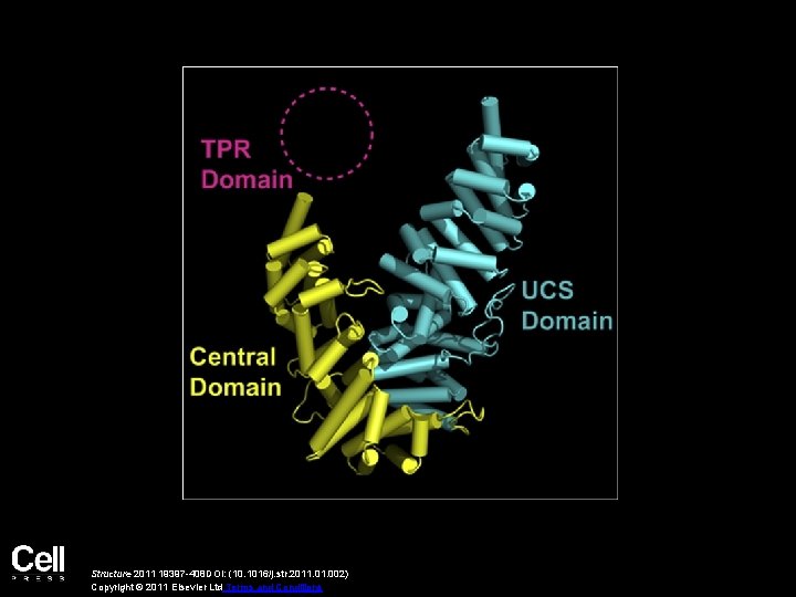 Structure 2011 19397 -408 DOI: (10. 1016/j. str. 2011. 002) Copyright © 2011 Elsevier